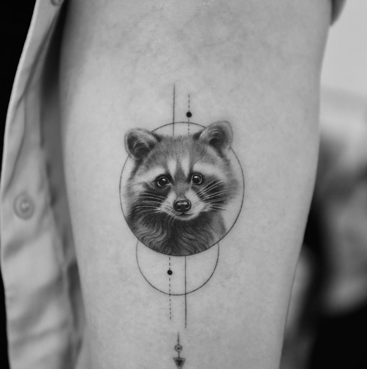 Raccoon portrait in microrealism inside a fine circle, with vertical lines and dots.